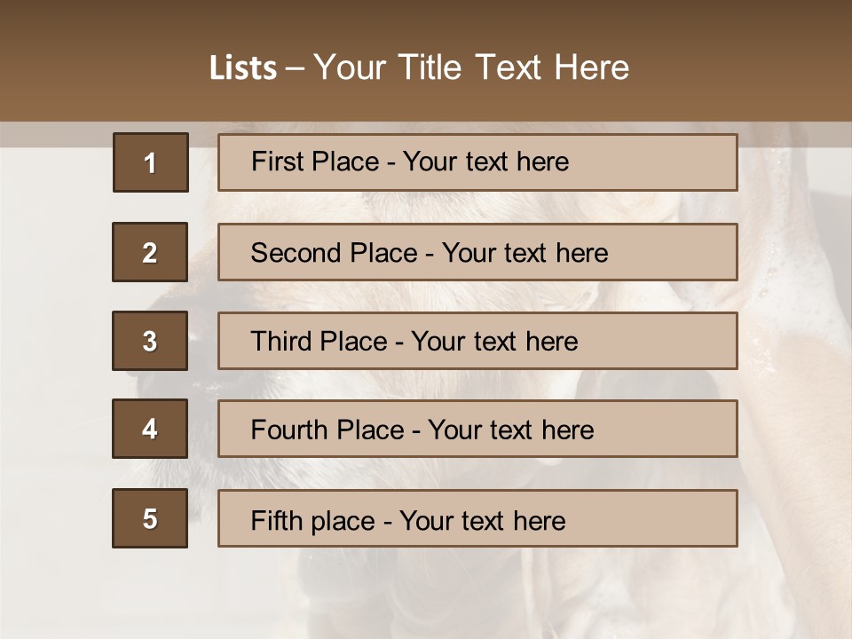 A Dog With A Shower Cap On It's Head PowerPoint Template