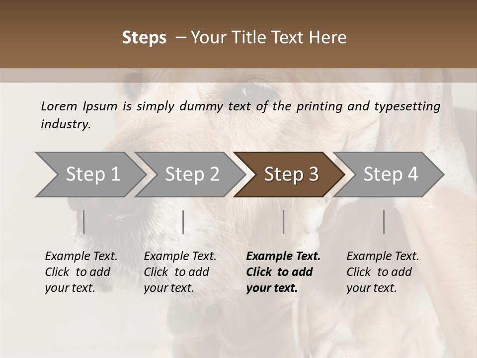 A Dog With A Shower Cap On It's Head PowerPoint Template