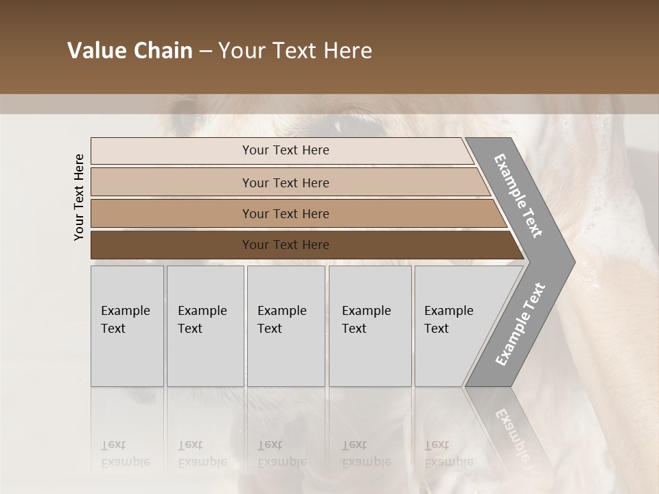 A Dog With A Shower Cap On It's Head PowerPoint Template