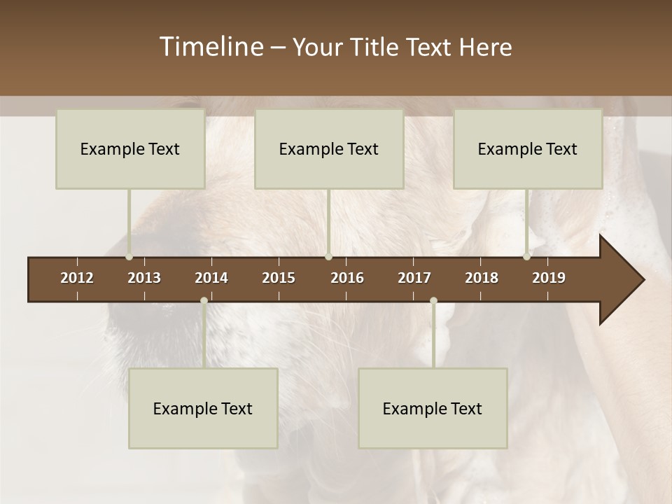 A Dog With A Shower Cap On It's Head PowerPoint Template