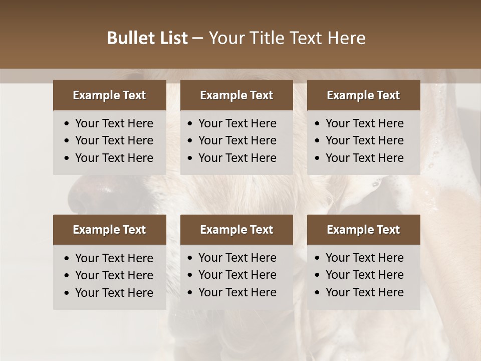 A Dog With A Shower Cap On It's Head PowerPoint Template