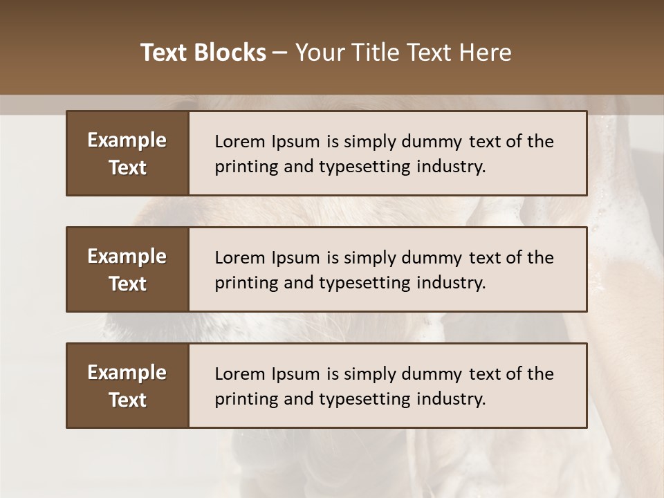 A Dog With A Shower Cap On It's Head PowerPoint Template