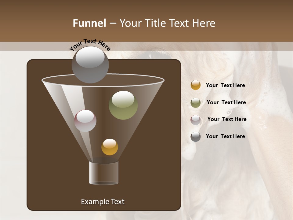 A Dog With A Shower Cap On It's Head PowerPoint Template