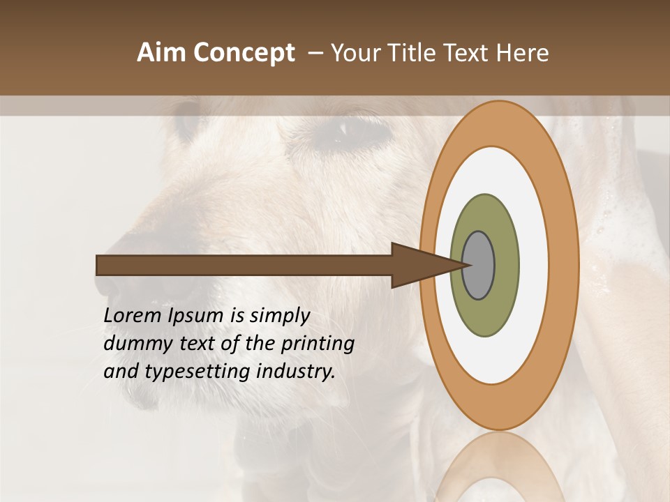 A Dog With A Shower Cap On It's Head PowerPoint Template