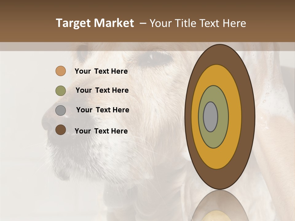 A Dog With A Shower Cap On It's Head PowerPoint Template