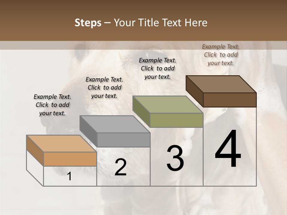 A Dog With A Shower Cap On It's Head PowerPoint Template