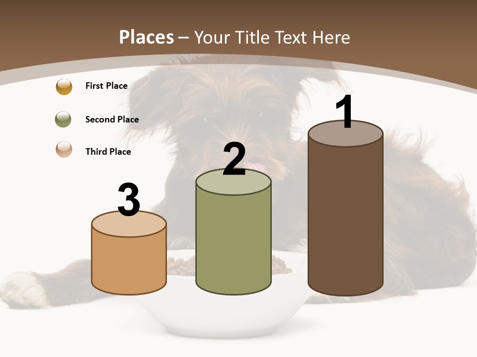 A Brown And White Dog Sitting Next To A Bowl Of Food PowerPoint Template