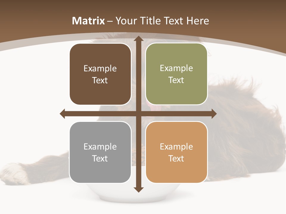 A Brown And White Dog Sitting Next To A Bowl Of Food PowerPoint Template