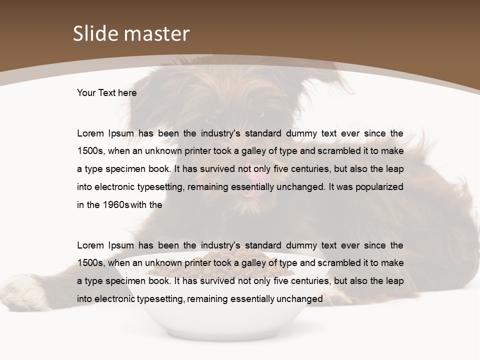 A Brown And White Dog Sitting Next To A Bowl Of Food PowerPoint Template