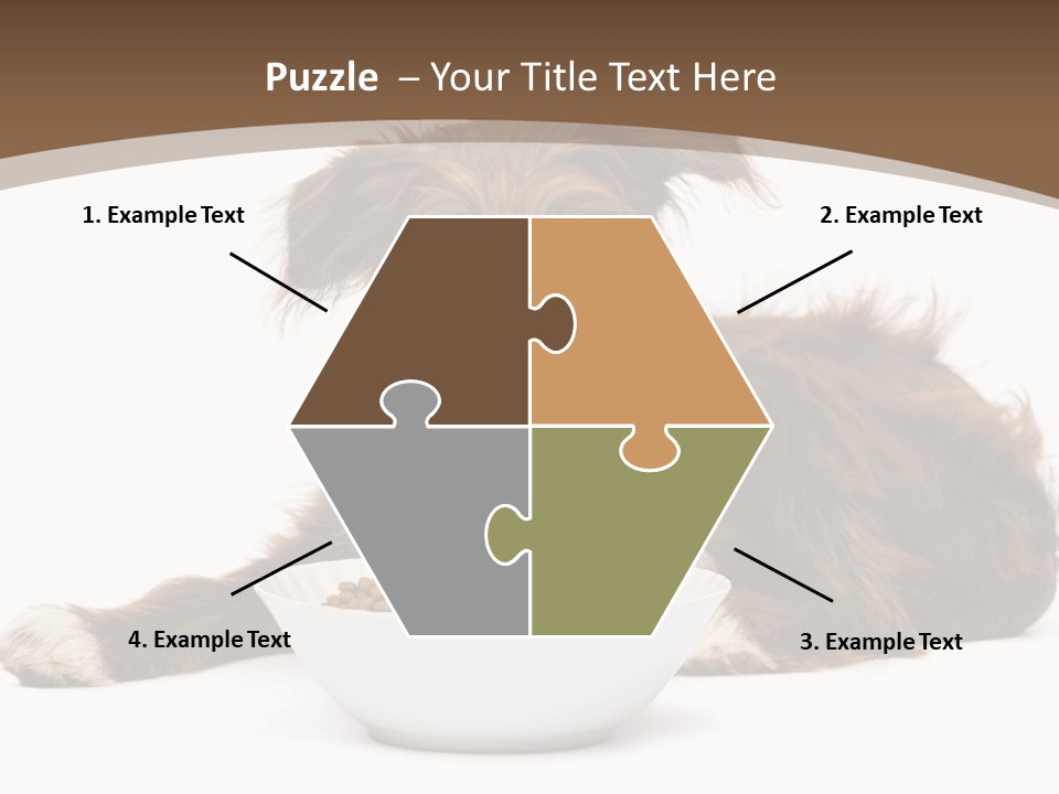 A Brown And White Dog Sitting Next To A Bowl Of Food PowerPoint Template