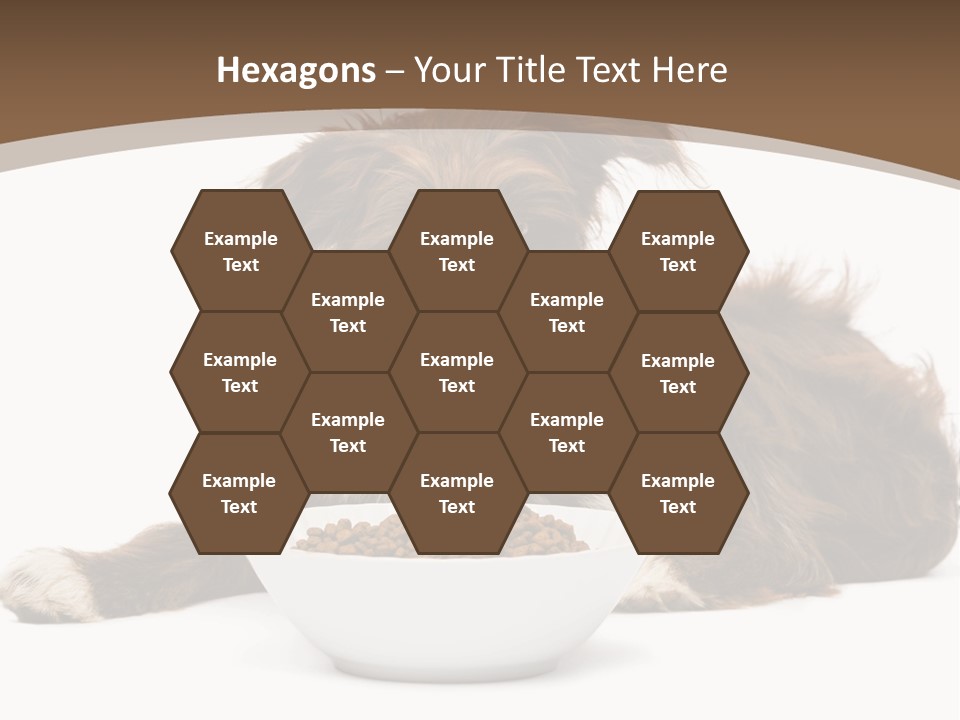 A Brown And White Dog Sitting Next To A Bowl Of Food PowerPoint Template