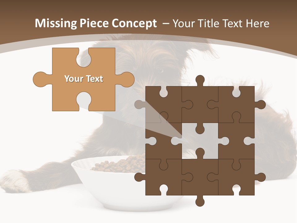 A Brown And White Dog Sitting Next To A Bowl Of Food PowerPoint Template