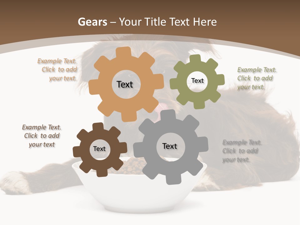 A Brown And White Dog Sitting Next To A Bowl Of Food PowerPoint Template