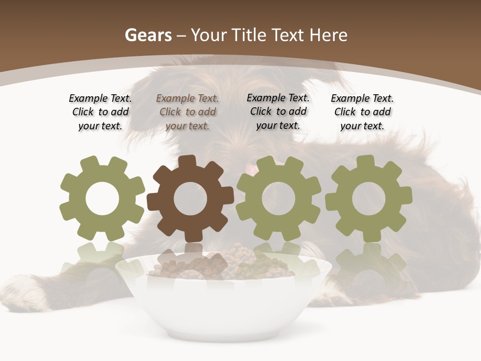 A Brown And White Dog Sitting Next To A Bowl Of Food PowerPoint Template