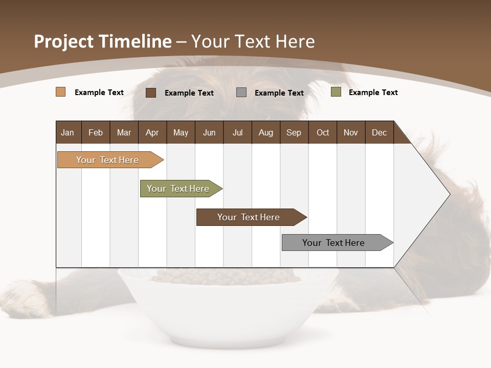 A Brown And White Dog Sitting Next To A Bowl Of Food PowerPoint Template