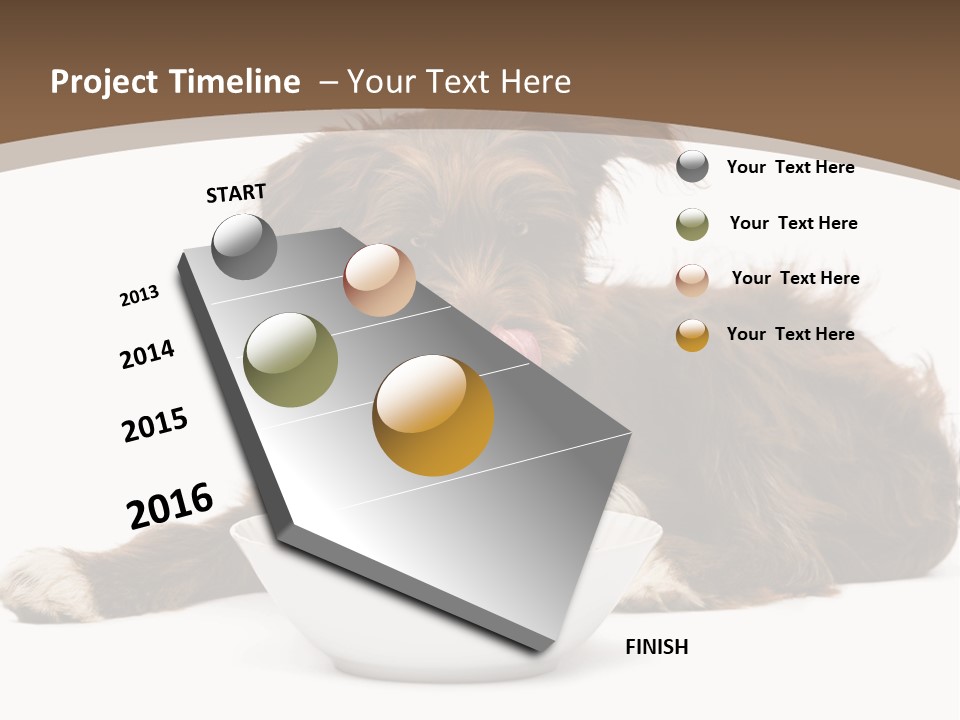 A Brown And White Dog Sitting Next To A Bowl Of Food PowerPoint Template