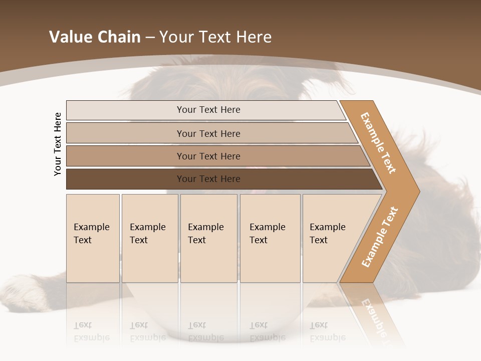 A Brown And White Dog Sitting Next To A Bowl Of Food PowerPoint Template