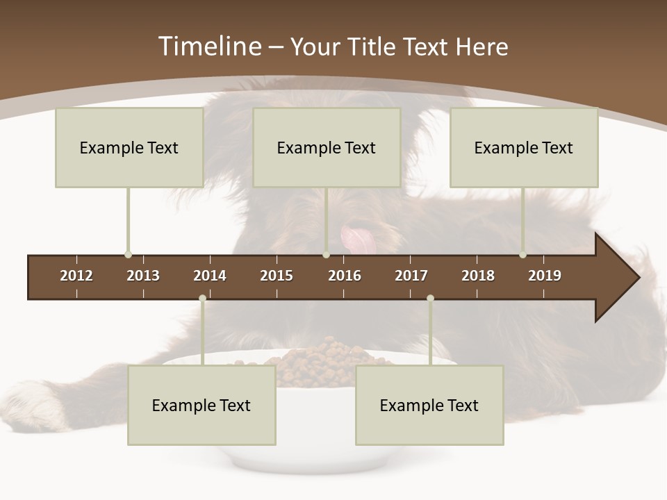 A Brown And White Dog Sitting Next To A Bowl Of Food PowerPoint Template