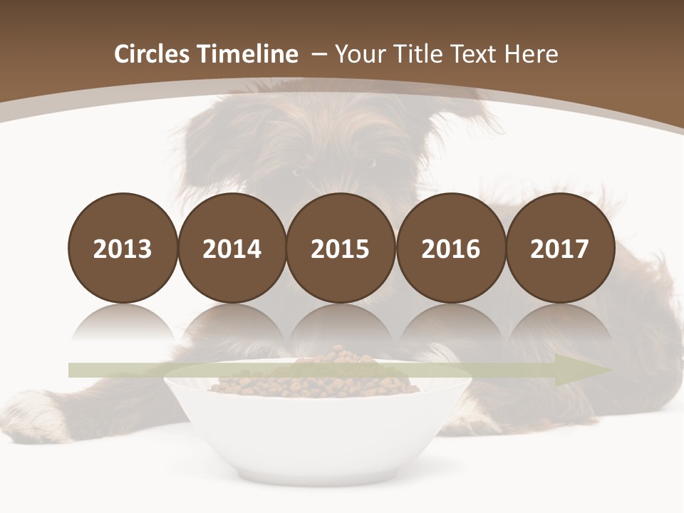 A Brown And White Dog Sitting Next To A Bowl Of Food PowerPoint Template