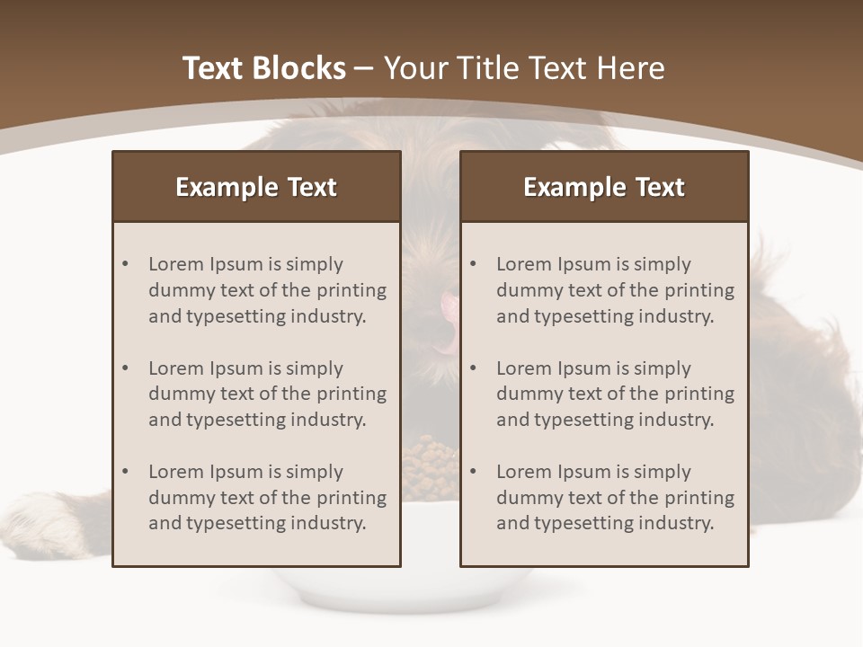 A Brown And White Dog Sitting Next To A Bowl Of Food PowerPoint Template