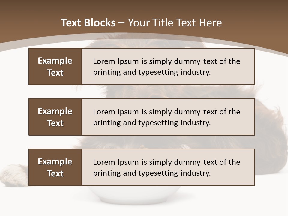 A Brown And White Dog Sitting Next To A Bowl Of Food PowerPoint Template