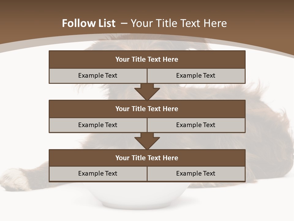 A Brown And White Dog Sitting Next To A Bowl Of Food PowerPoint Template