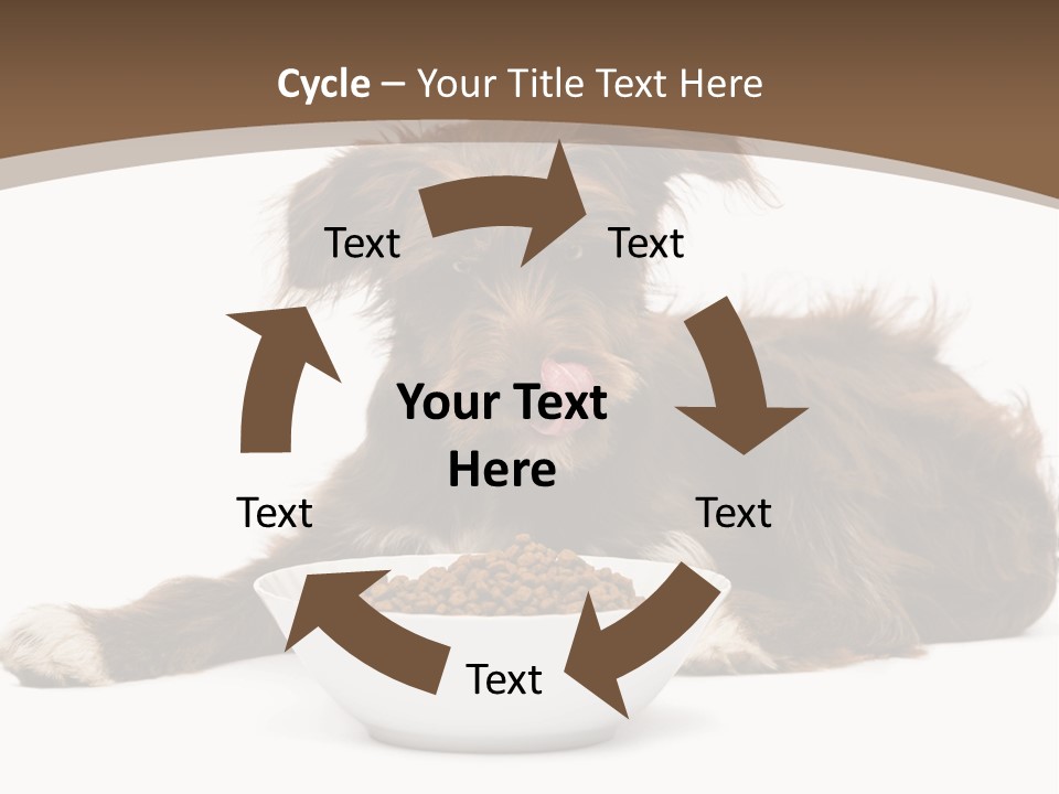 A Brown And White Dog Sitting Next To A Bowl Of Food PowerPoint Template