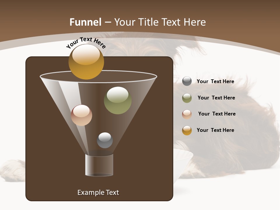 A Brown And White Dog Sitting Next To A Bowl Of Food PowerPoint Template