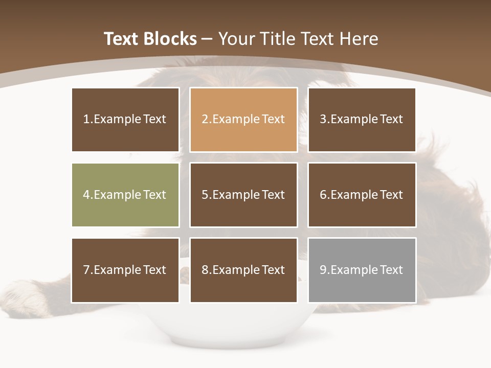 A Brown And White Dog Sitting Next To A Bowl Of Food PowerPoint Template