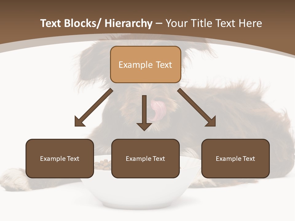 A Brown And White Dog Sitting Next To A Bowl Of Food PowerPoint Template