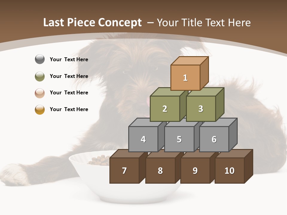 A Brown And White Dog Sitting Next To A Bowl Of Food PowerPoint Template