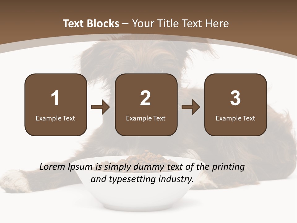 A Brown And White Dog Sitting Next To A Bowl Of Food PowerPoint Template
