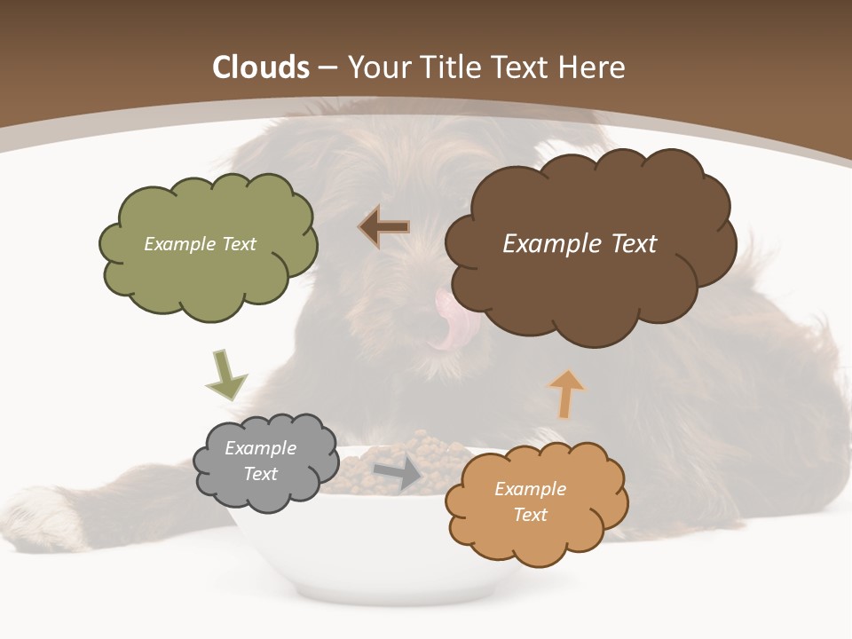 A Brown And White Dog Sitting Next To A Bowl Of Food PowerPoint Template