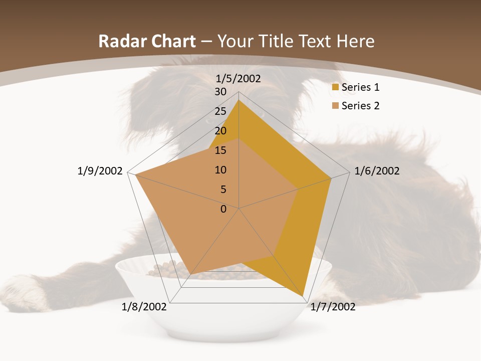 A Brown And White Dog Sitting Next To A Bowl Of Food PowerPoint Template
