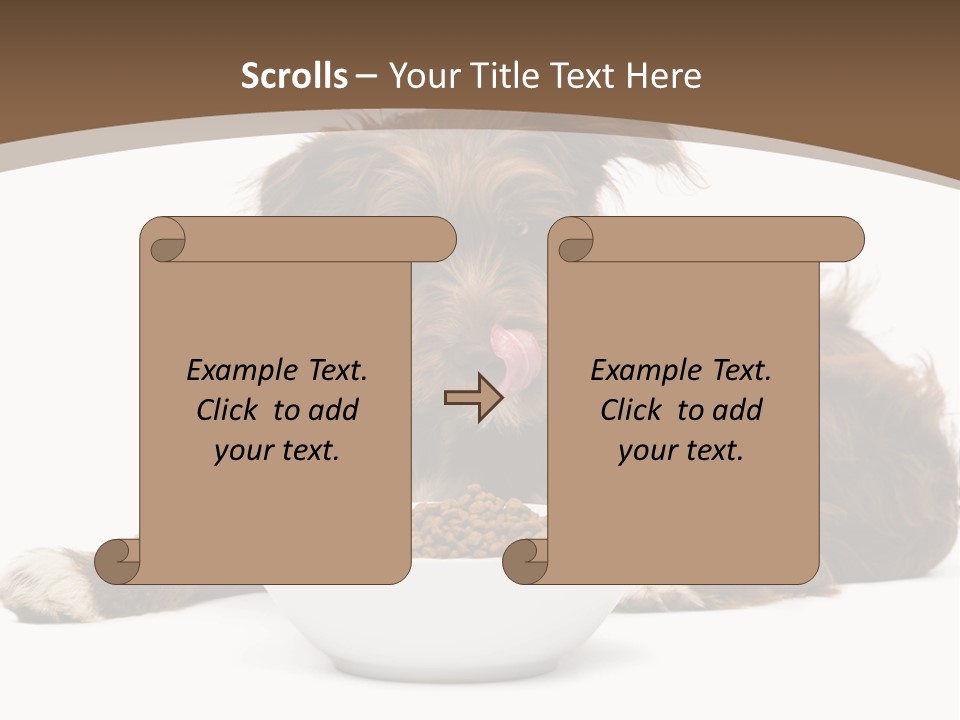 A Brown And White Dog Sitting Next To A Bowl Of Food PowerPoint Template
