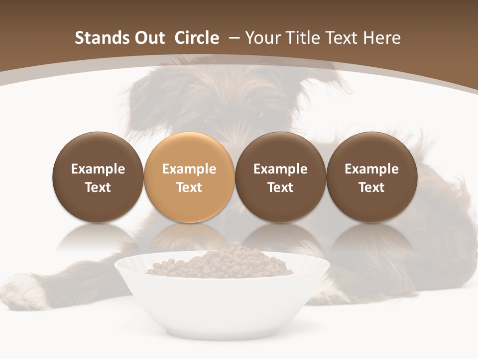 A Brown And White Dog Sitting Next To A Bowl Of Food PowerPoint Template
