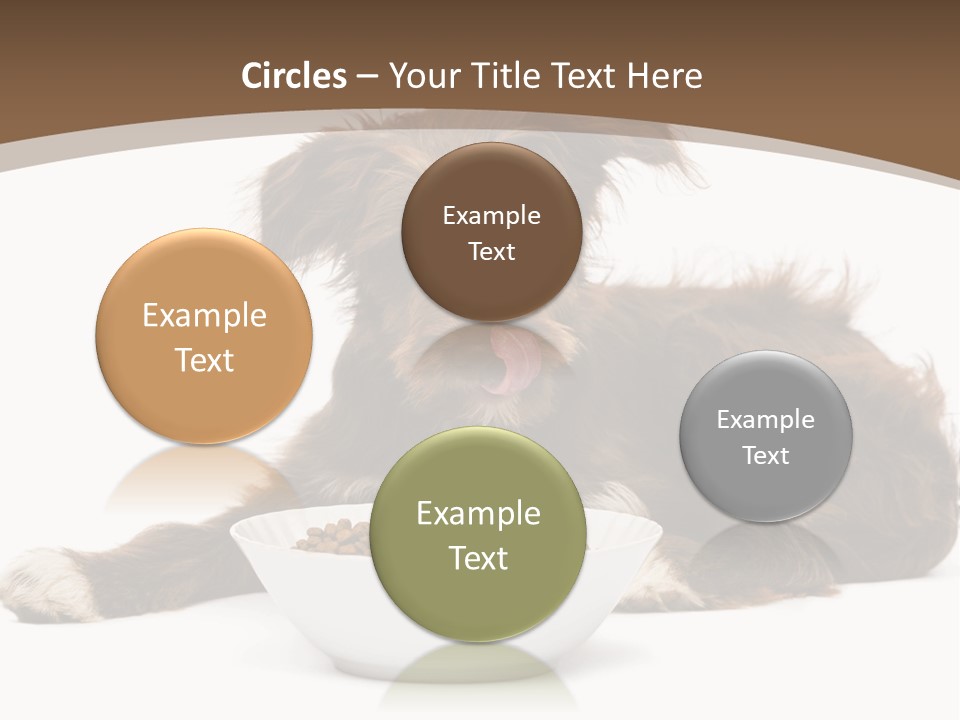 A Brown And White Dog Sitting Next To A Bowl Of Food PowerPoint Template