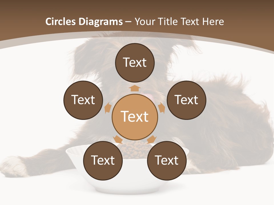 A Brown And White Dog Sitting Next To A Bowl Of Food PowerPoint Template