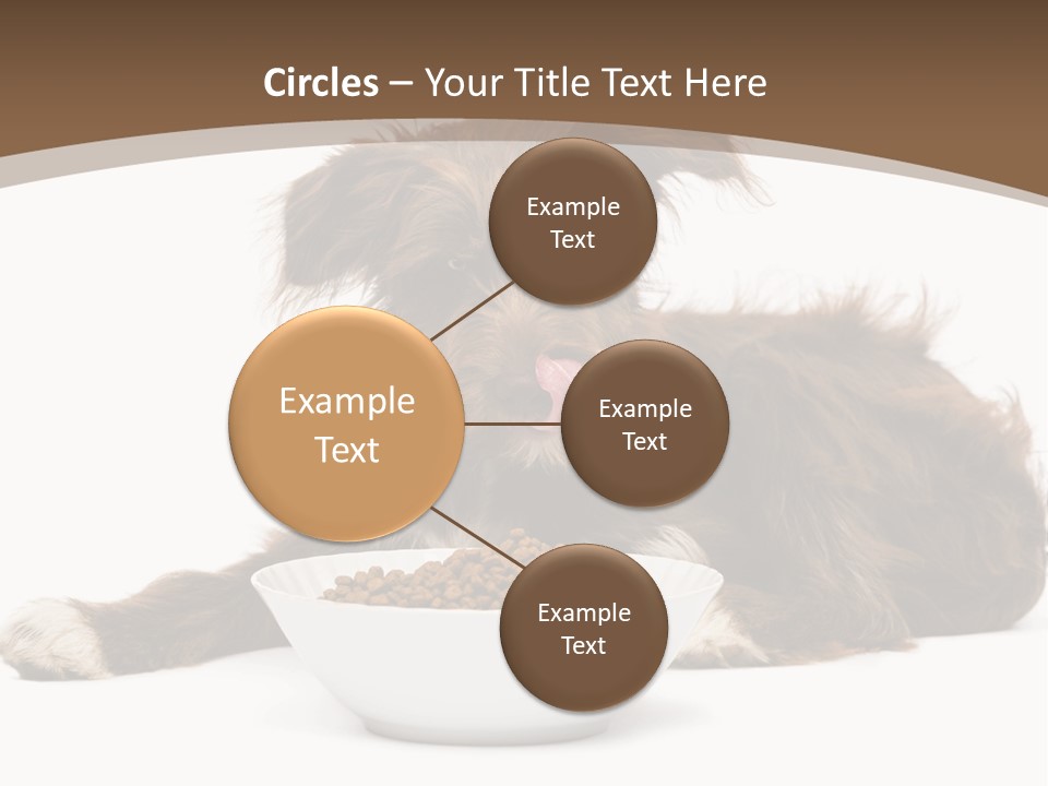 A Brown And White Dog Sitting Next To A Bowl Of Food PowerPoint Template