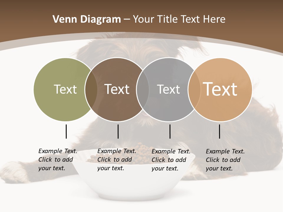 A Brown And White Dog Sitting Next To A Bowl Of Food PowerPoint Template