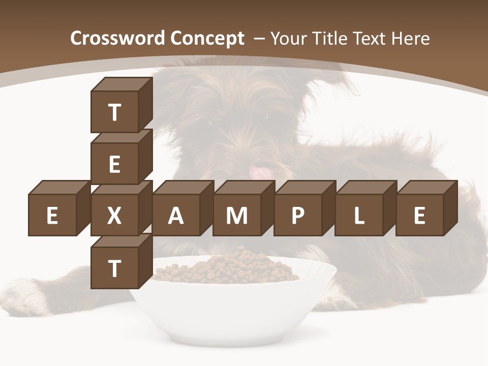 A Brown And White Dog Sitting Next To A Bowl Of Food PowerPoint Template