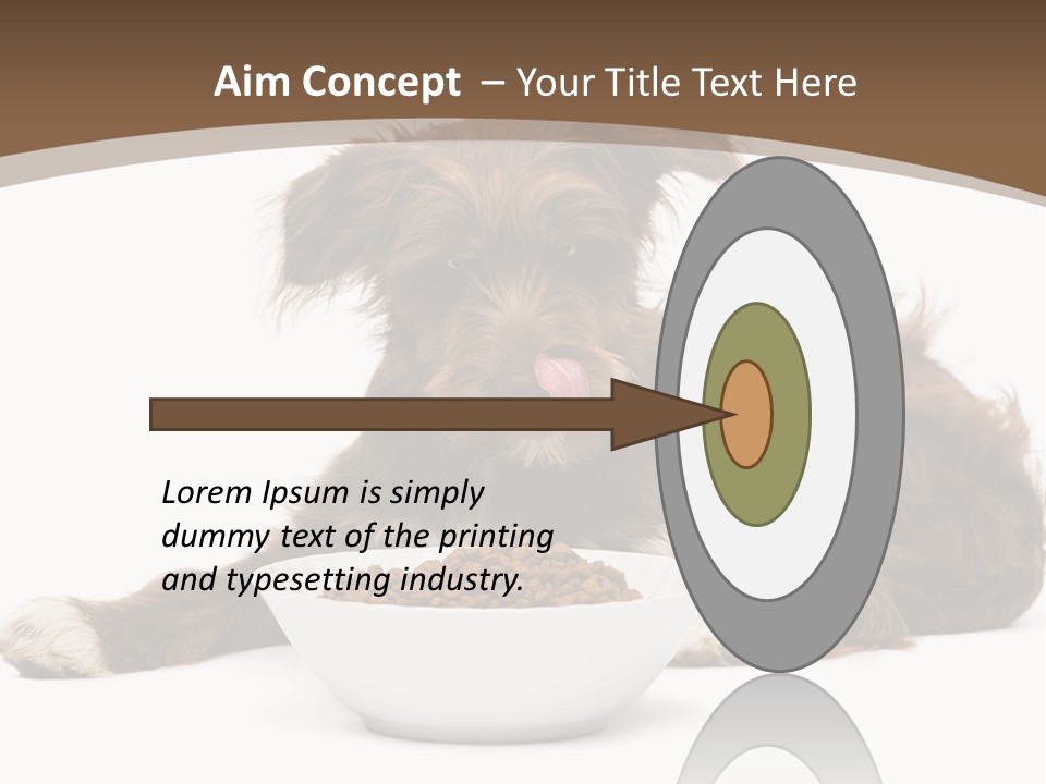 A Brown And White Dog Sitting Next To A Bowl Of Food PowerPoint Template