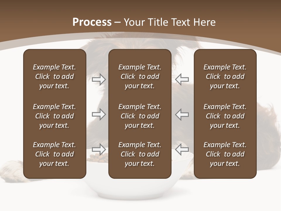 A Brown And White Dog Sitting Next To A Bowl Of Food PowerPoint Template