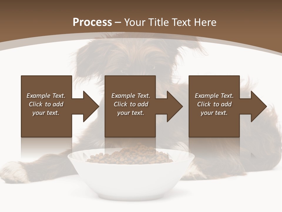 A Brown And White Dog Sitting Next To A Bowl Of Food PowerPoint Template