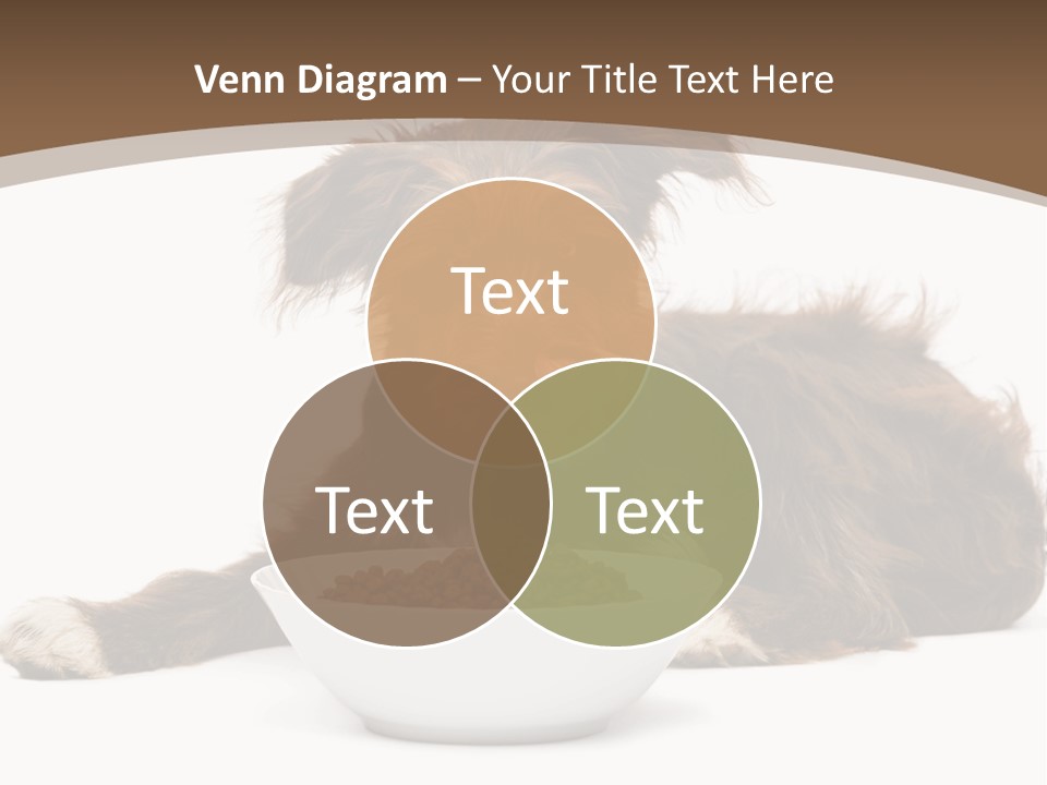 A Brown And White Dog Sitting Next To A Bowl Of Food PowerPoint Template