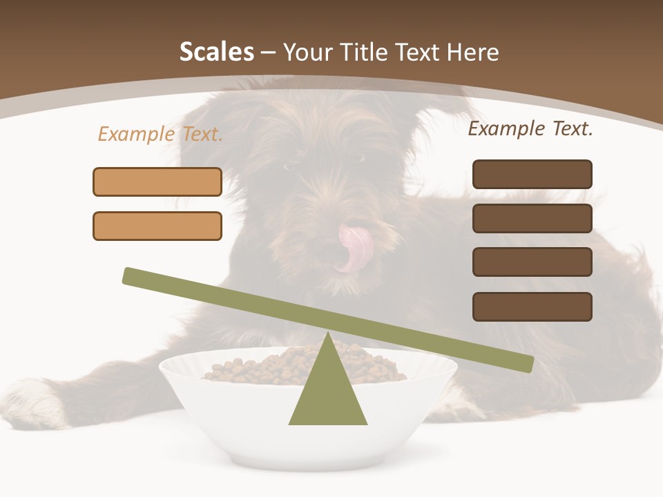 A Brown And White Dog Sitting Next To A Bowl Of Food PowerPoint Template