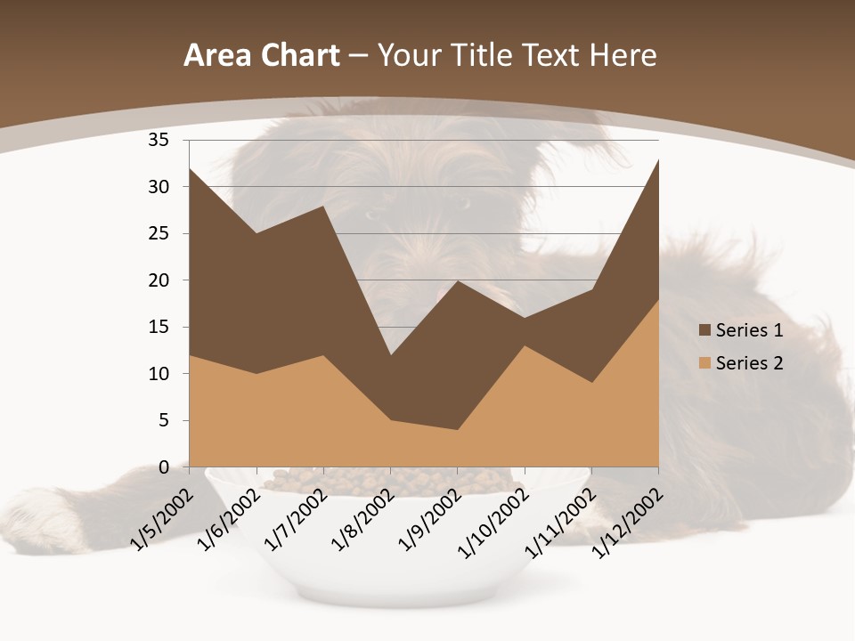 A Brown And White Dog Sitting Next To A Bowl Of Food PowerPoint Template