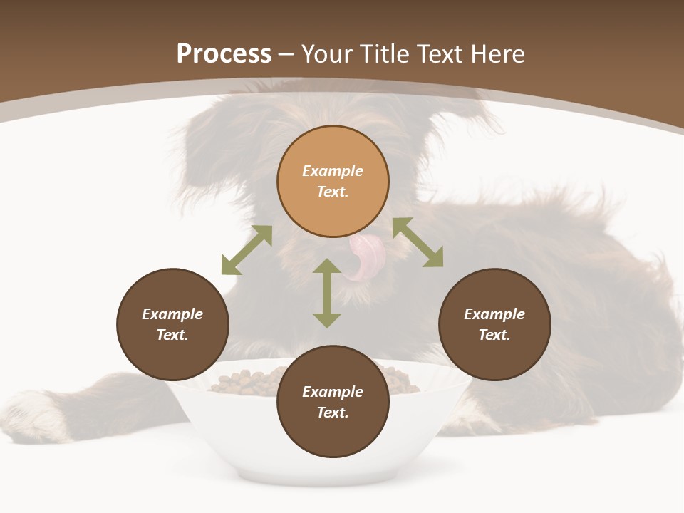 A Brown And White Dog Sitting Next To A Bowl Of Food PowerPoint Template
