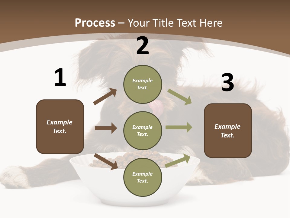 A Brown And White Dog Sitting Next To A Bowl Of Food PowerPoint Template