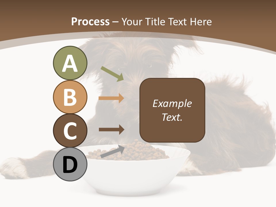 A Brown And White Dog Sitting Next To A Bowl Of Food PowerPoint Template